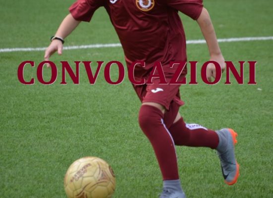 Convocazioni 23 e 24 Febbraio 2019