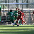 SERIE D, TRASTEVERE – AVELLINO 0-2, 7.4.2019