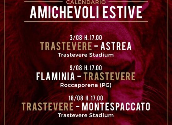 PROGRAMMA AMICHEVOLI